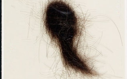 A lock of Mrs McSweeney's hair (MS)